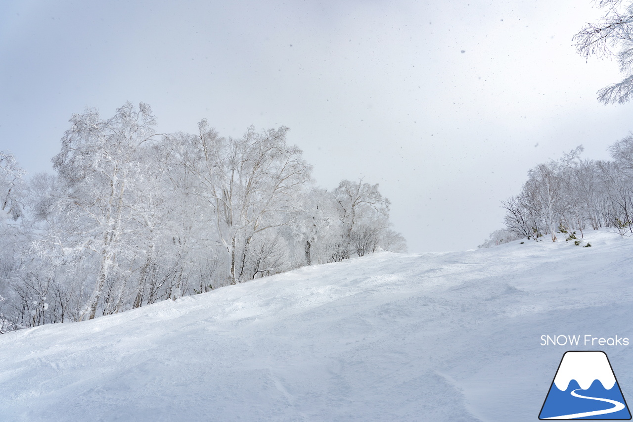 キロロリゾート｜寒さも、雪質も、最上級。キロロが誇る世界屈指のパウダースノーを楽しみましょう♪